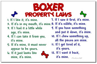 Boxer Property Laws