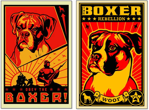 obey boxer dogs